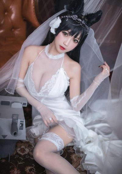 免费电视剧全集